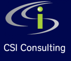 CSI Consultant company logo