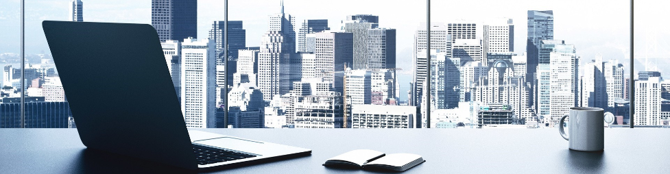 Banner for IT Programmer job by GENO Management 