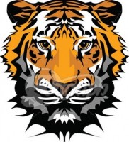 Tiger Network company logo
