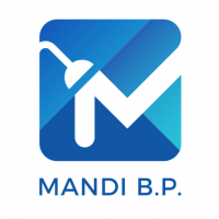 Mandi B.P Sdn Bhd company logo