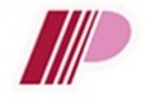 Progressive Insurance Bhd company logo