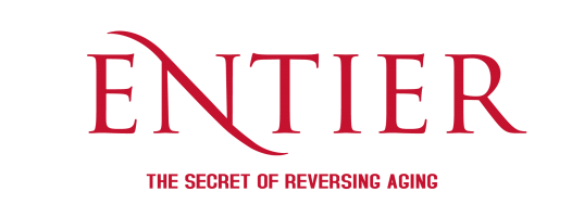 ENTIER BERHAD company logo