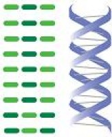 NHK BIOSCIENCE SOLUTIONS SDN. BHD. company logo