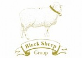 BLACK SHEEP GROUP company logo