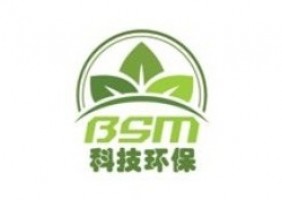BSM ADVISORY SDN BHD company logo