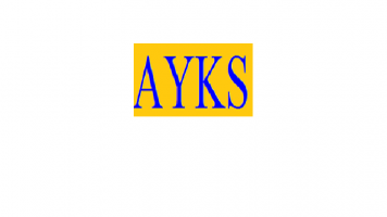 AYKS MANAGEMENT SERVICES company logo