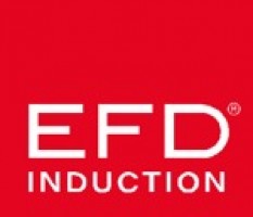 EFD INDUCTION OIL & GAS SERVICE SDN BHD company logo