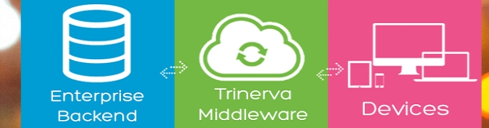 Banner for Trinerva Technology Sdn Bhd