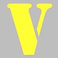 Vinsure Management Services company logo