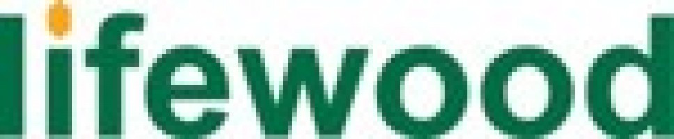 Lifewood Data Technology company logo