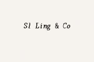 SL Ling & Co company logo
