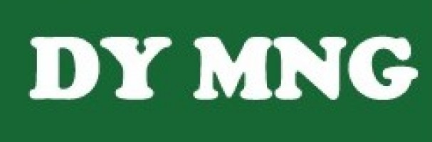 DY MNG ENGINEERING SDN BHD logo