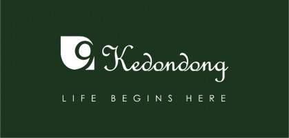 Nine Kedondong Enterprise company logo