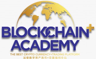 Blockchain Plus Academy company logo