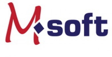 MS SOFT SOLUTION SDN BHD company logo