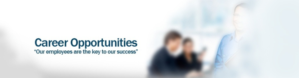 Banner for Soli Electronic (M) Sdn Bhd