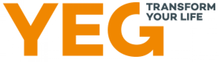 Young Eagle Generation company logo