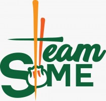 TEAM SOME SDN BHD company logo