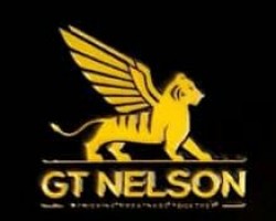 Gtnelson company logo