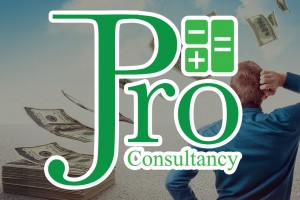 ProConsult company logo