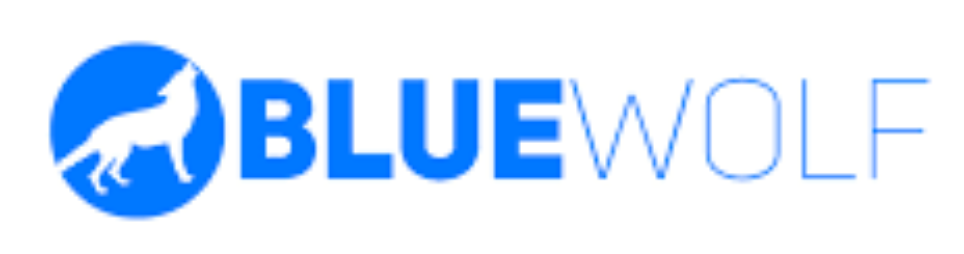 Banner for Blue Wolf Sdn Bhd