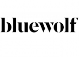 Blue Wolf Sdn Bhd company logo