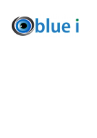 Blue I Solutions company logo