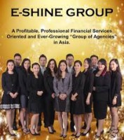 PN E-SHINE SDN. BHD company logo