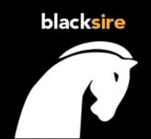 Black Sire Technology Sdn Bhd company logo