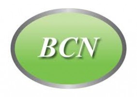 BCN Precision Technology Sdn Bhd company logo