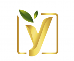 The Y Advisory Sdn Bhd company logo