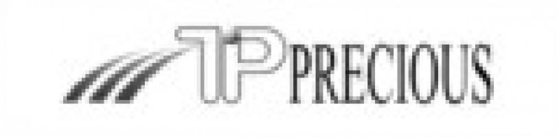 Precious Trend Sdn Bhd company logo