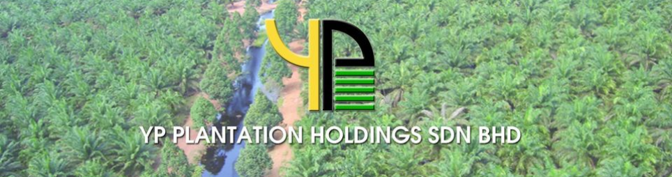 Banner for YP Plantation Holdings Sdn. Bhd.