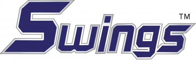 swings sdn bhd company logo