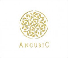 Ancubic Capital Sdn. Bhd. company logo